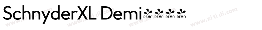 SchnyderXL Demi字体转换